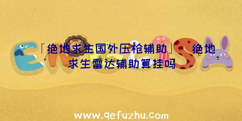 「绝地求生国外压枪辅助」|绝地求生雷达辅助算挂吗